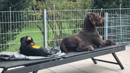 Charly und Noeé